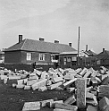 souvenirs en noir et blanc (795)